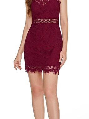 Lace Mini Dress in Wine - Women's Elegant Cocktail Dress